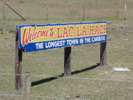 8_lac.jpeg