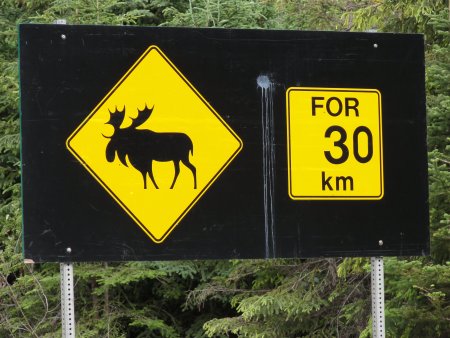 12_moosesign.jpeg