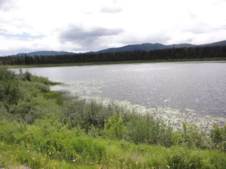 5_lake.jpeg