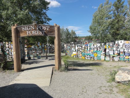 15_signpostforest.jpeg