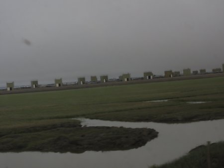 8_wellheads.jpeg
