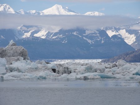 19_glacier.jpeg