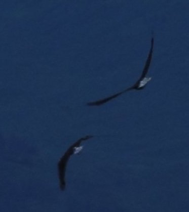 3_flight.jpeg