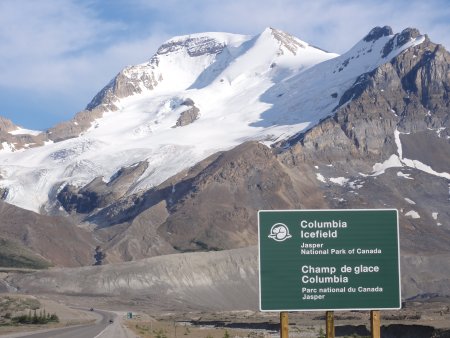 7_icefield.jpeg