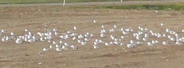 7_flightsgrounded.jpeg