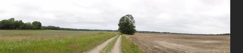 6_fields.jpeg