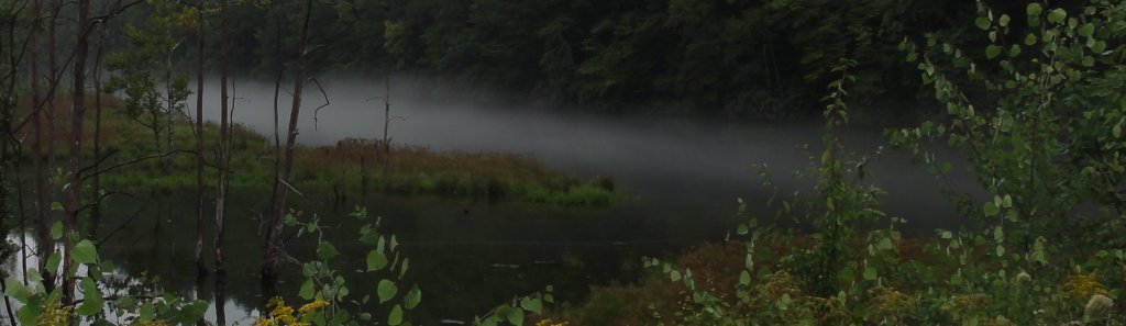 8_mist_1.jpeg
