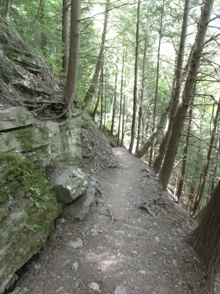 11_path.jpeg