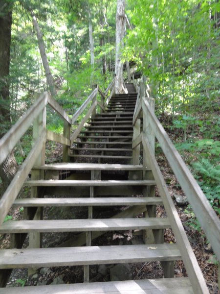 14_steps.jpeg