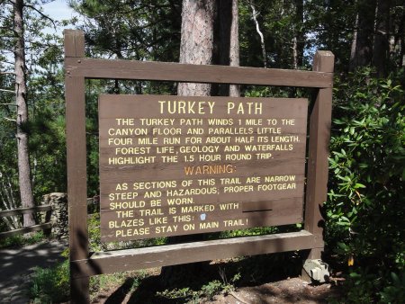 6_turkeypath.jpeg