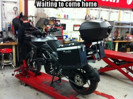 Waiting to come home